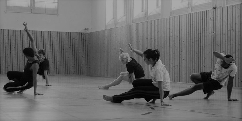 capoeira bremen neustadt grilo