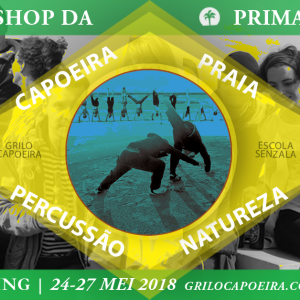 Primavera workshop Terschelling 2018 – Grilo Capoeira